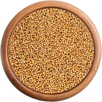 Celá organická horčica biela - 100 g
